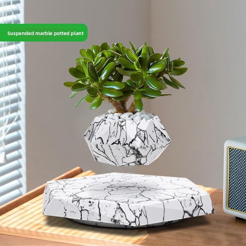 Maceta Flotante con Levitacion Magnetica / Magnetic Levitation Planter