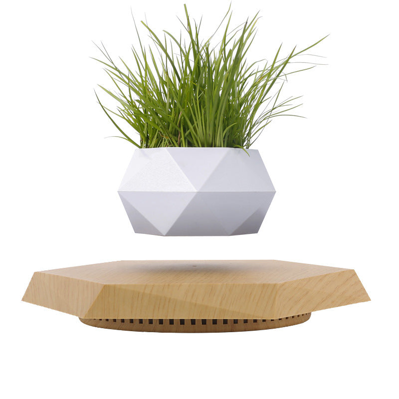 Maceta Flotante con Levitacion Magnetica / Magnetic Levitation Planter